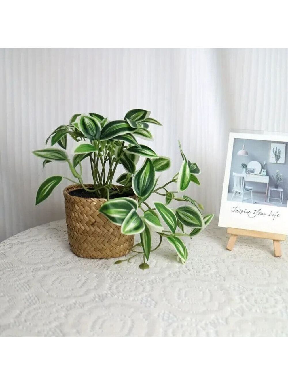 Artificial Trailing Peperomia in Woven Basket, Lifelike Greenery Décor
